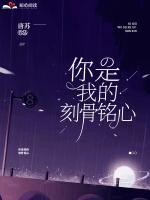 陆砚琛唐苏免费全文阅读
