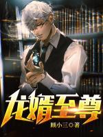 龙婿至尊在线阅读