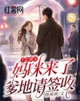 安雅韩文磊最新章节更新