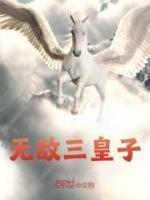 无敌三皇子短剧免费观看全集高清