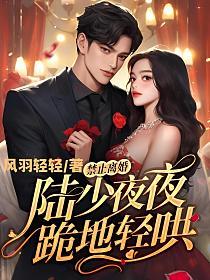 禁止离婚!陆少夜夜跪地轻哄应