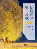 明明你也很爱我歌名
