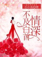 叶清歌慕战北夏小乔全集目录