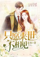 只愿来世不相见什么意思