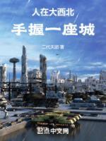 杨再兴传