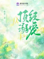 沈知衡陆如意