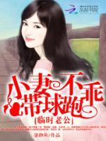 临时老公小妻不乖带球跑TXT小载