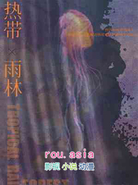 热带雨林手抄报