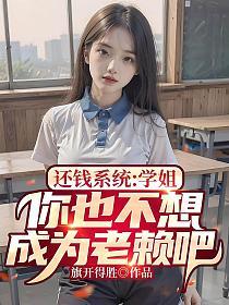 还钱系统1一32章