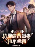 唐傲叶婉柔主角