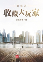重生之收藏大玩家txt