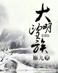 大明望族讲了什么故事