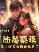 苏染陆景行全文