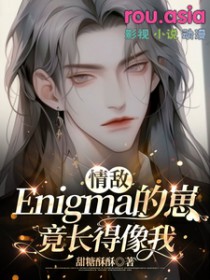 情敌Enigma的崽竟长得像我未删减