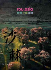 沙棘的功效与作用主要治什么病
