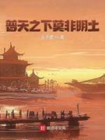 朱仲丽的简介