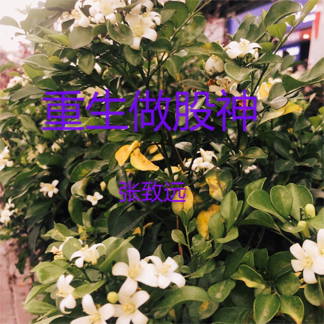 重生之金融巨擘
