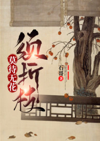 莫待无花须折枝完本