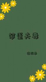 笨蛋夫妻by不知名大温柔