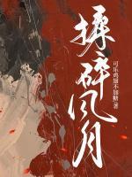 揉碎风月讲的什么
