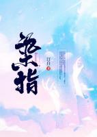 宁枳周衡在线阅读