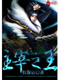 主宰之王精校版txt