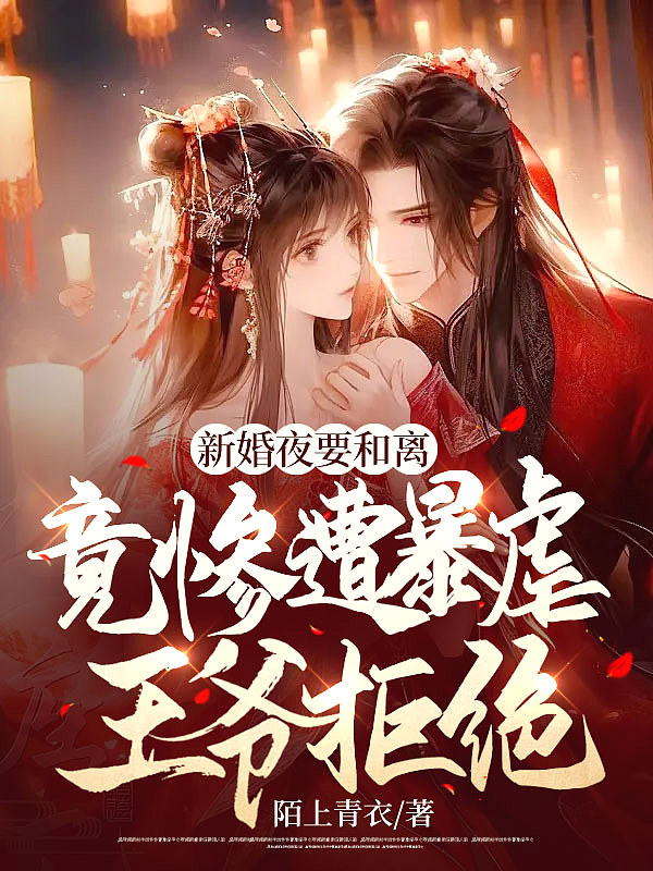 新婚当晚给王爷做手术