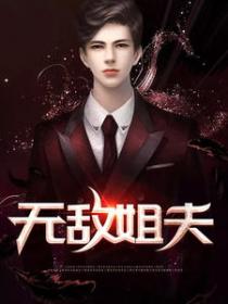 无敌姐夫TXT