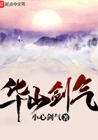 华山剑气燕不归