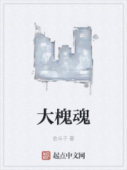 大槐魂完结了吗
