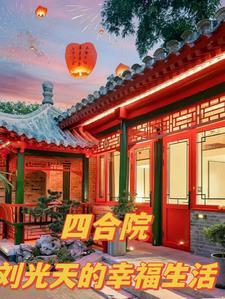 四合院刘光天的幸福生活西门雨柱