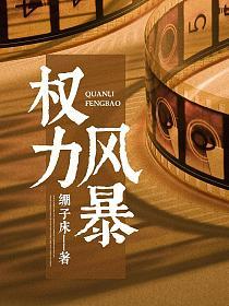 官场风暴