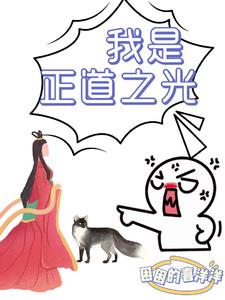 正道之光的意思