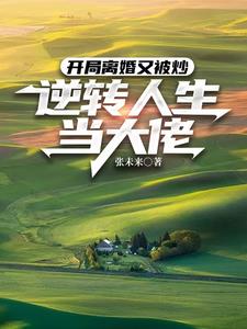 开局离婚被迫成为全职艺术家 笔趣阁