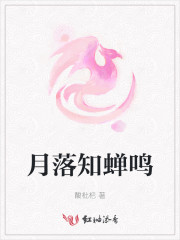 静默之蝉文集