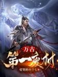 陆仁云青瑶免费无窗弹书旗网