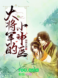 大将军的小神医好看吗