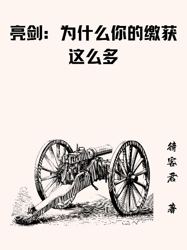 亮剑为什么你的缴获这么多简介