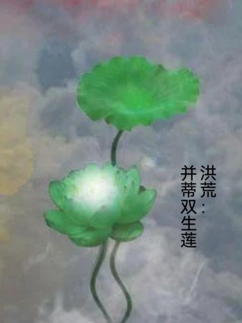 洪荒并蒂双生莲视频