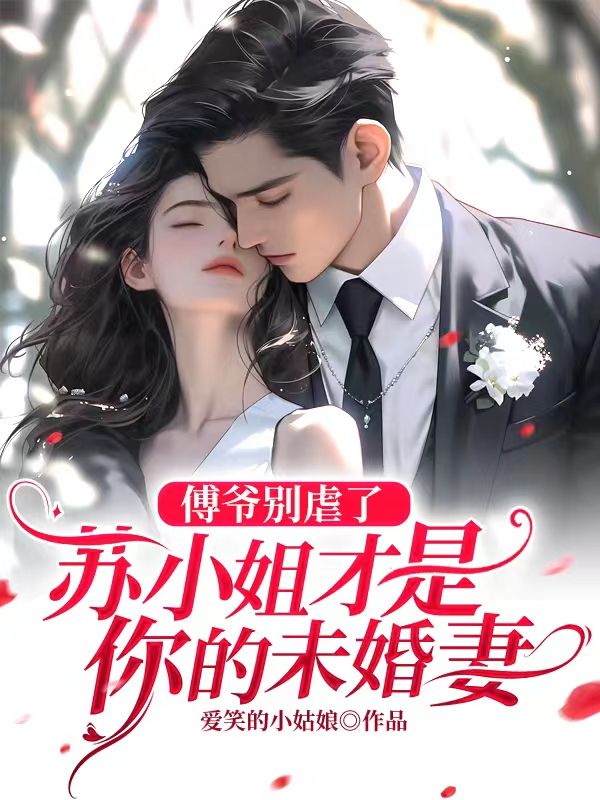 傅夜苏小珍