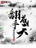 翻手为云免费阅读无弹窗