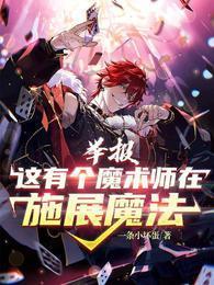 举报!这有个魔术师在施展魔法全集阅读