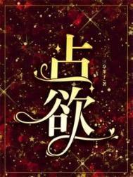 占欲电视剧