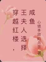 穿越红楼王夫人选择咸鱼 心狠手辣的丹宗