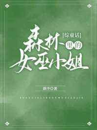 森林里的小女巫中文版