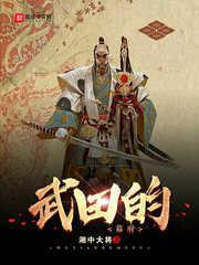武田的幕府TXT免费全本