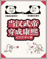 当汉武帝穿成康熙吧