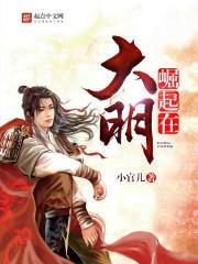 崛起大明朱慈烺崇祯免费阅读