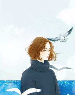 姜栀栀莫浩辰