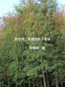 我傻柱